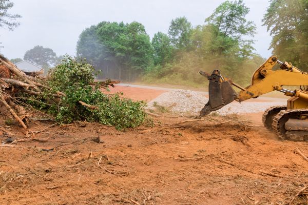 Ground Clearing in Olympia