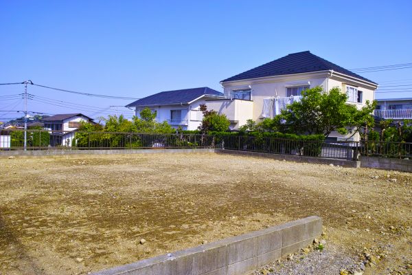 Cost of Lot Clearing Service in Olympia
