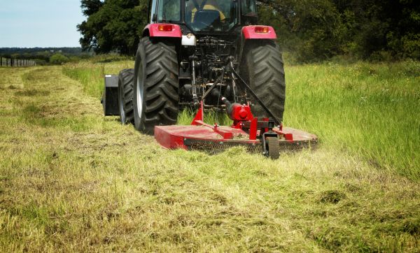 Brush Clearing Service in Olympia