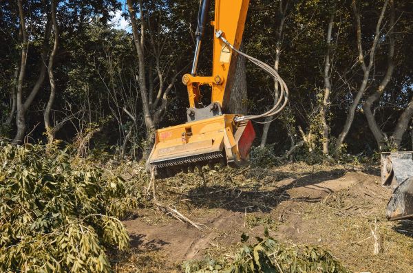 Brush Removal Service in Olympia