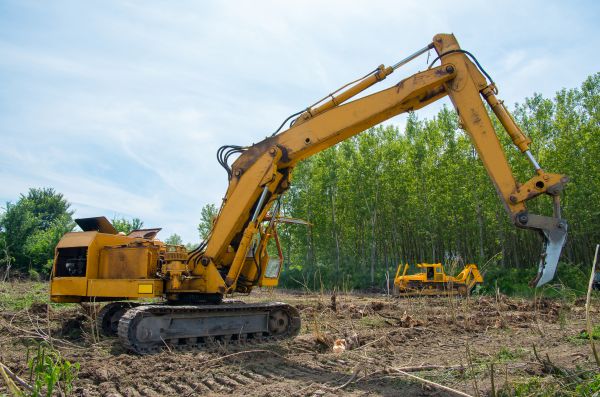 Cost of Farm Clearing in Olympia
