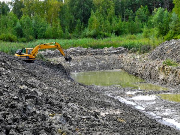 Cost of Lake Lot Clearing in Olympia