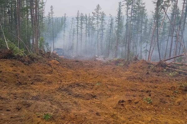 Cost of Hill Clearing in Olympia