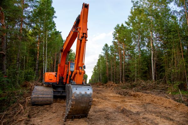 Cost of Backhoe Land Clearing in Olympia