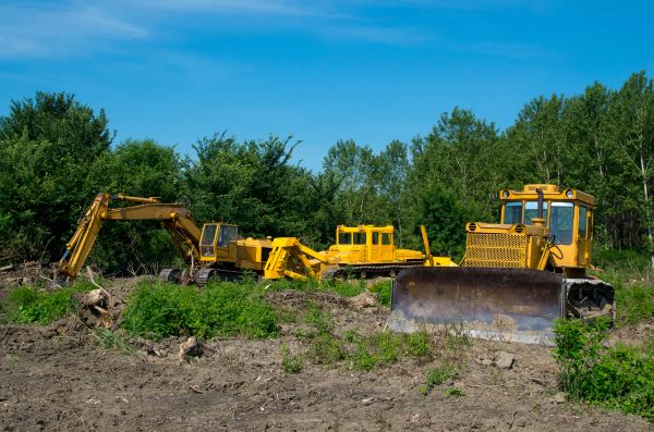 Cost of Bulldozer Clearing in Olympia