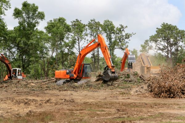 Cost of Commercial Lot Clearing in Olympia