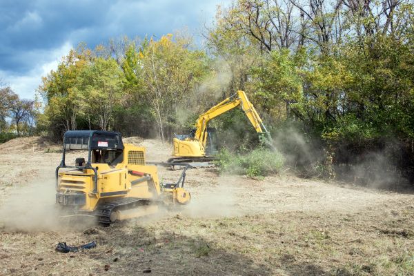 Cost of Terrain Clearing in Olympia