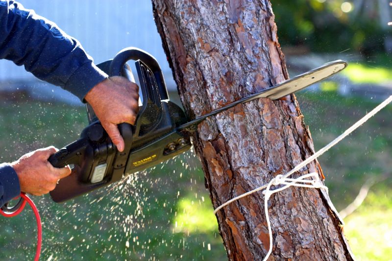 Tree Removal Tools